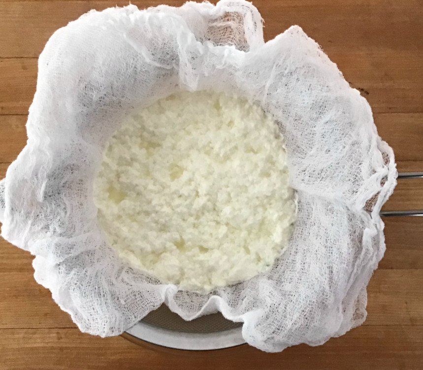 ricotta