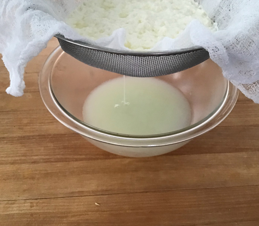 ricotta